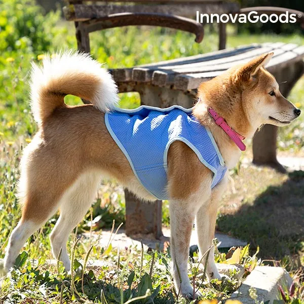 InnovaGoods Refreshing Pet Vest for Small Pets - S