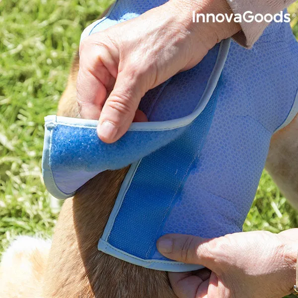 InnovaGoods Refreshing Pet Vest for Small Pets - S