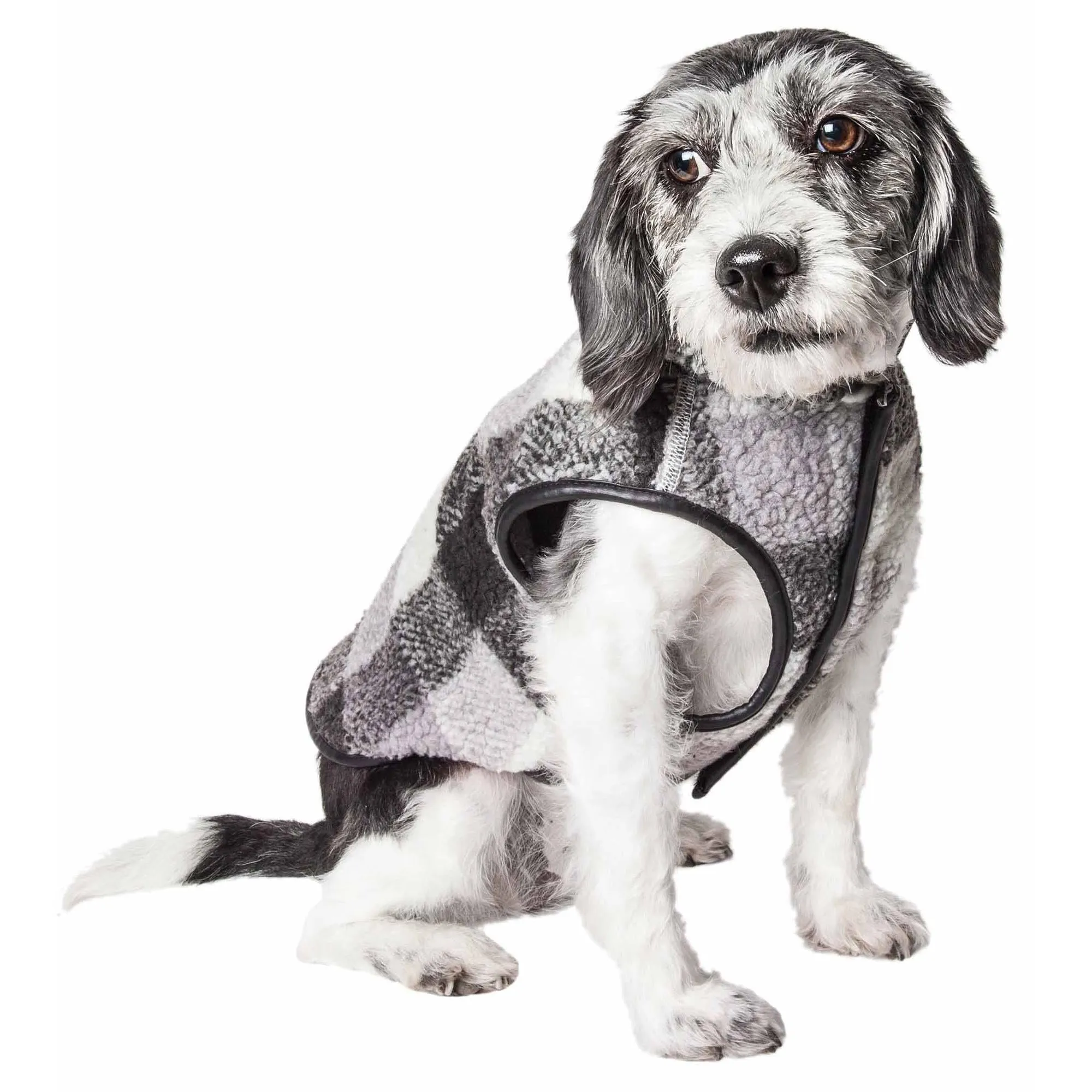 Insulated Dog Coat Fashion