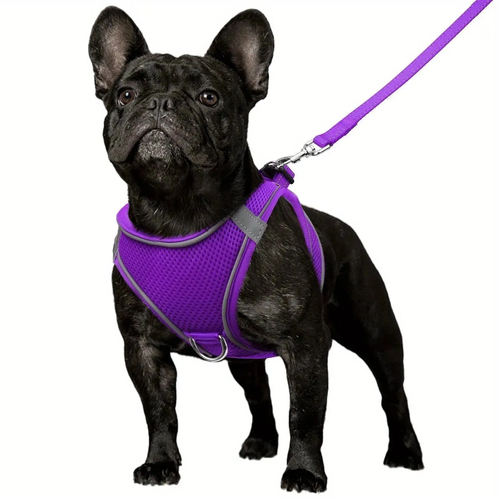Joytale Reflective Dog Harness & Leash Set