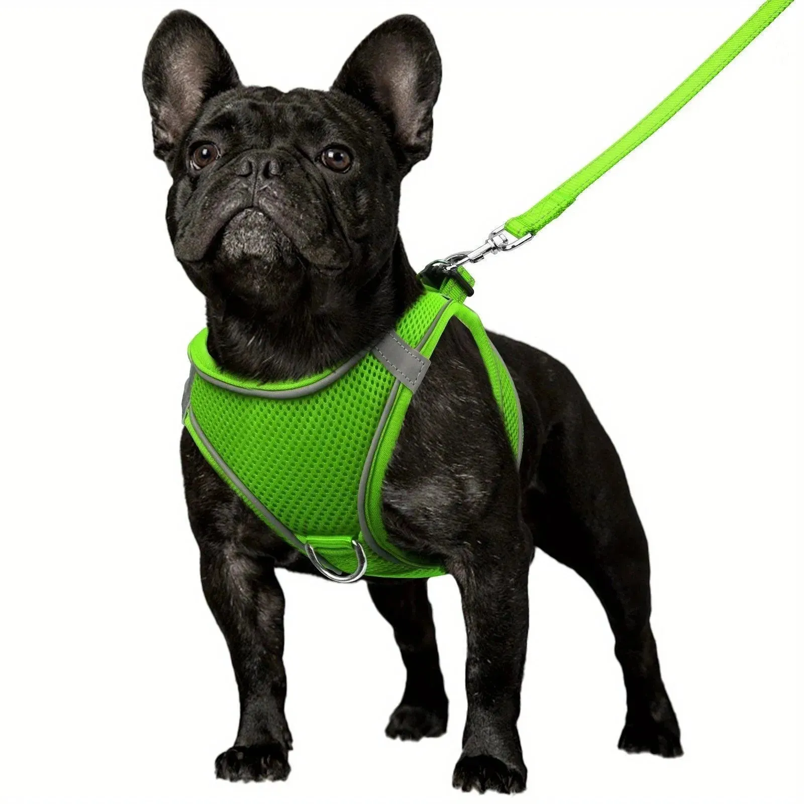 Joytale Reflective Dog Harness & Leash Set