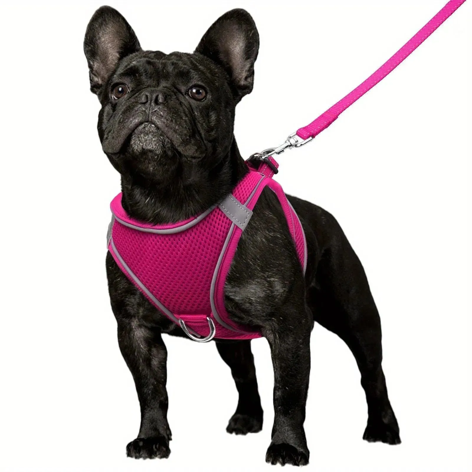 Joytale Reflective Dog Harness & Leash Set
