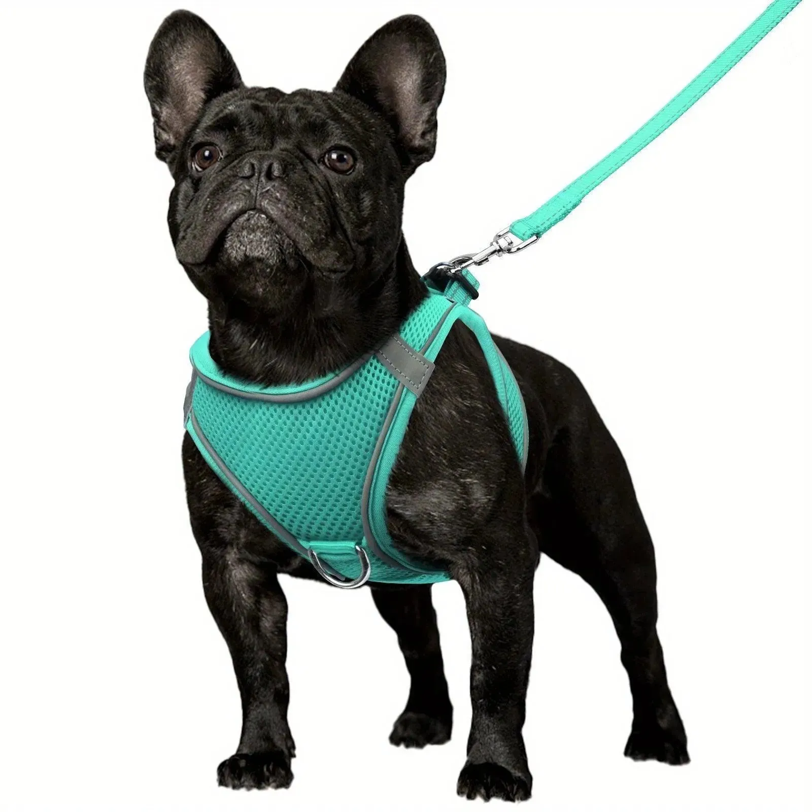 Joytale Reflective Dog Harness & Leash Set