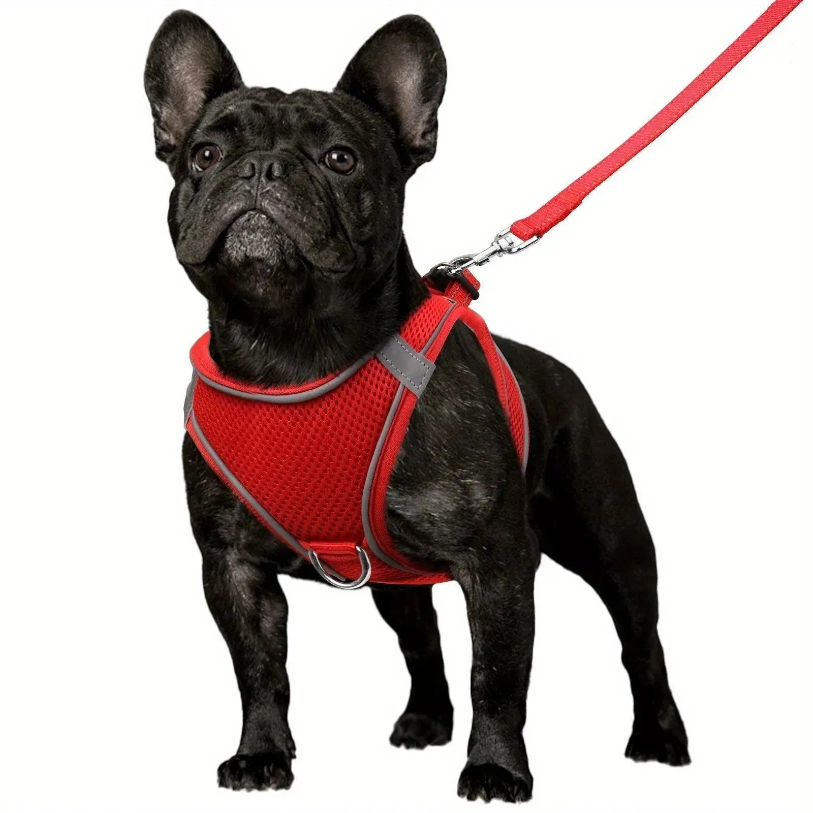 Joytale Reflective Dog Harness & Leash Set