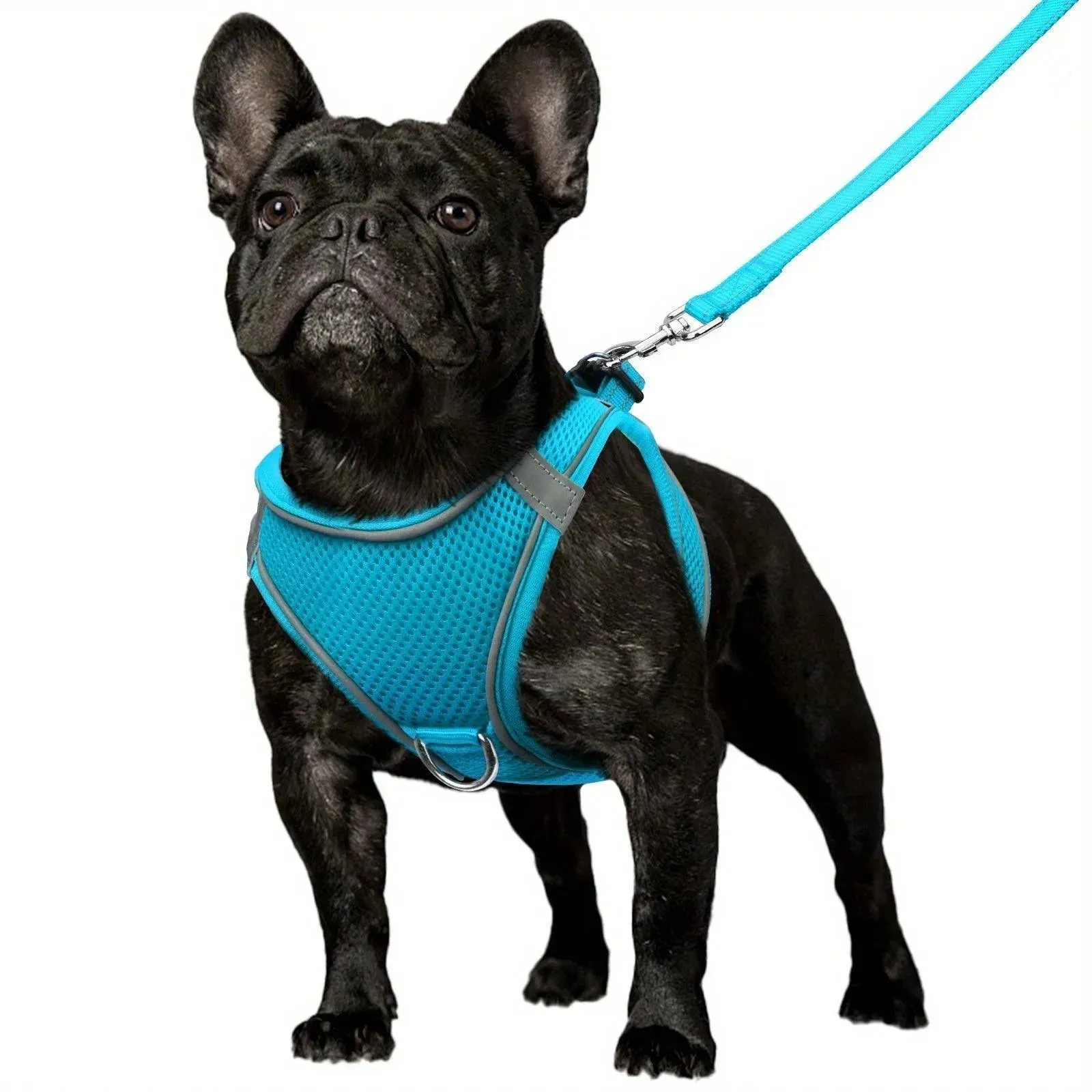 Joytale Reflective Dog Harness & Leash Set