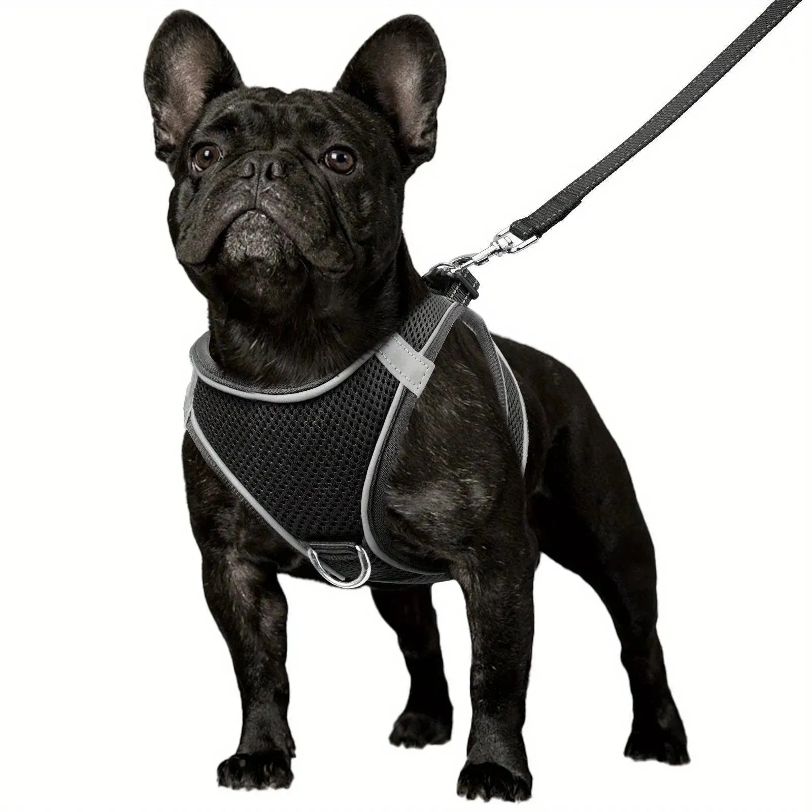 Joytale Reflective Dog Harness & Leash Set