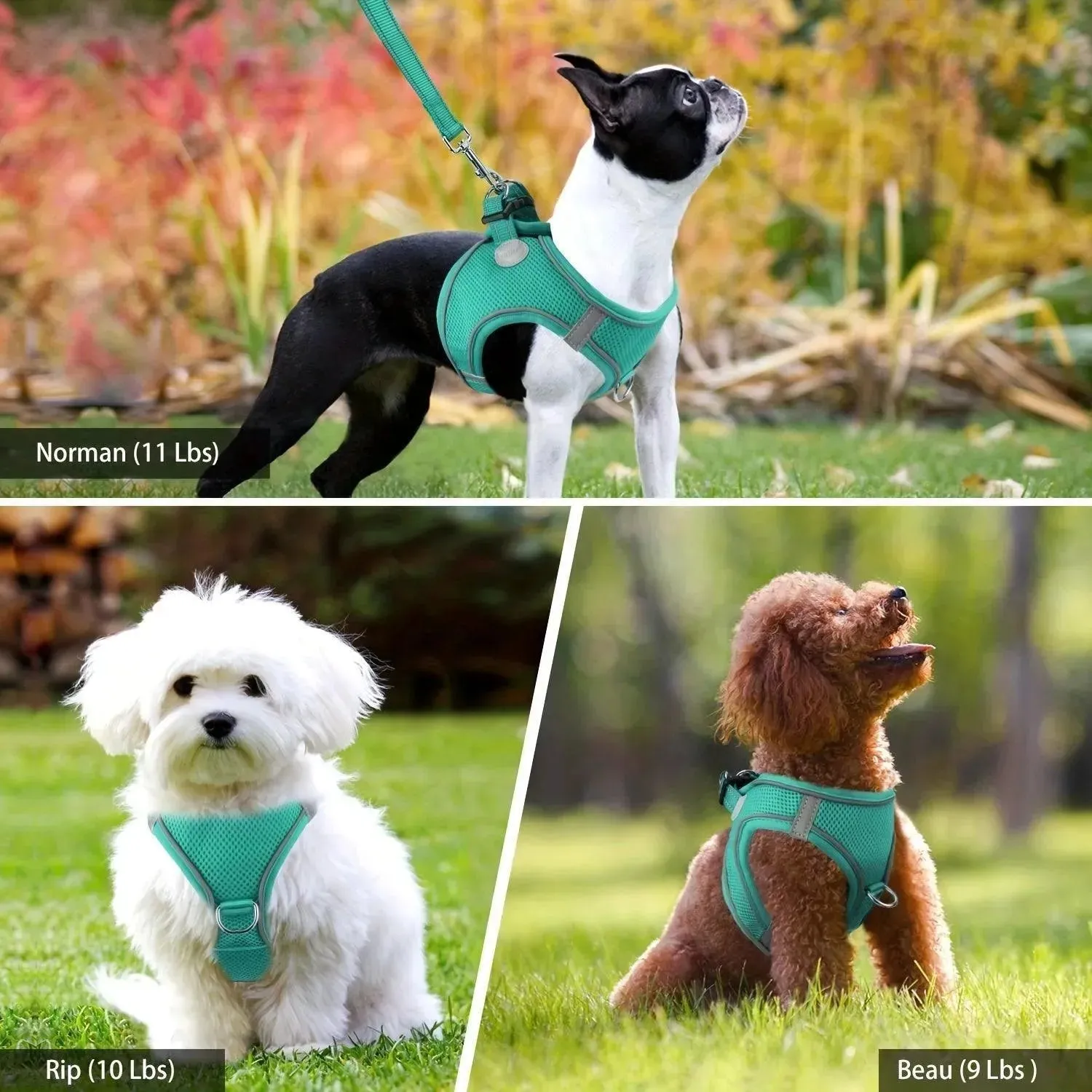 Joytale Reflective Dog Harness & Leash Set