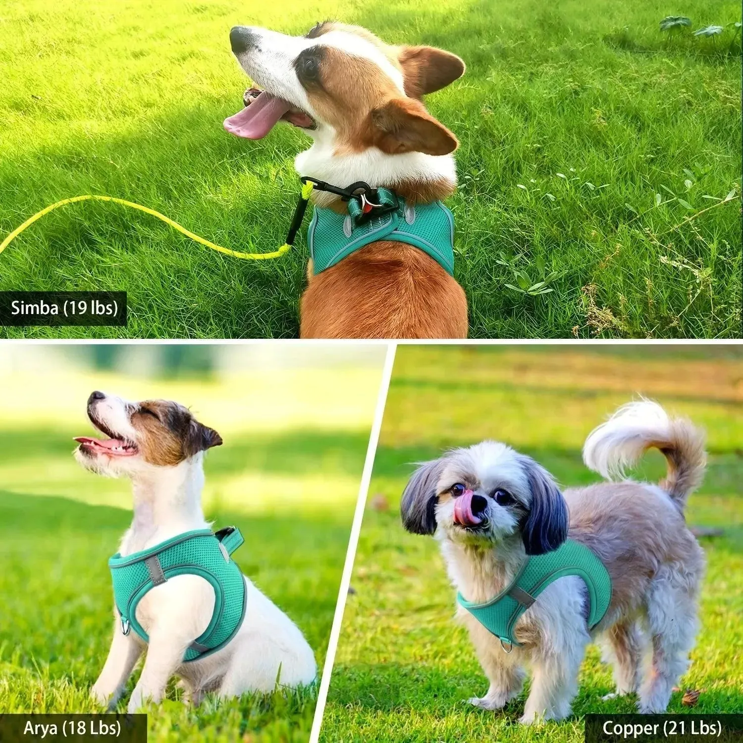 Joytale Reflective Dog Harness & Leash Set