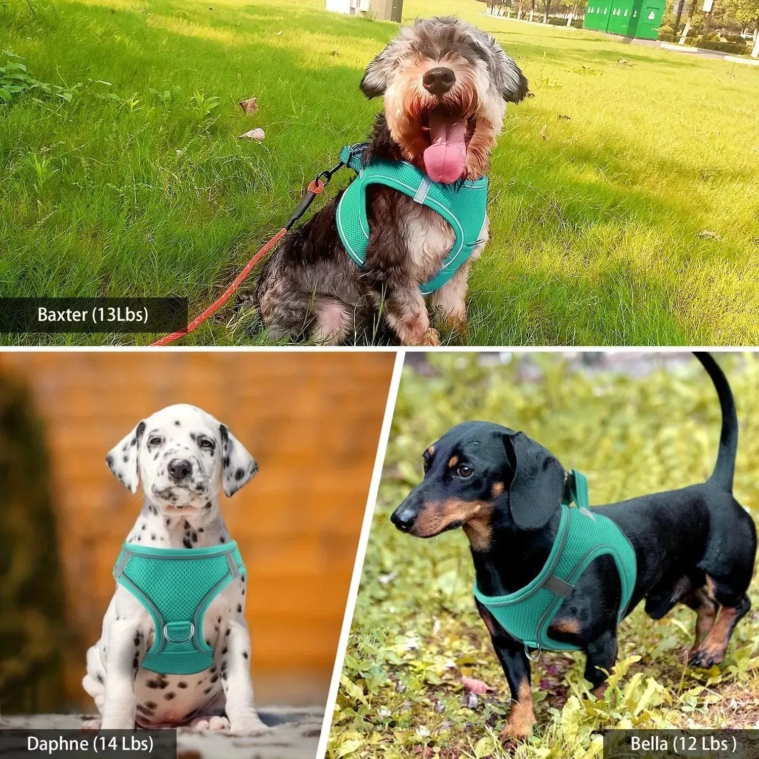 Joytale Reflective Dog Harness & Leash Set