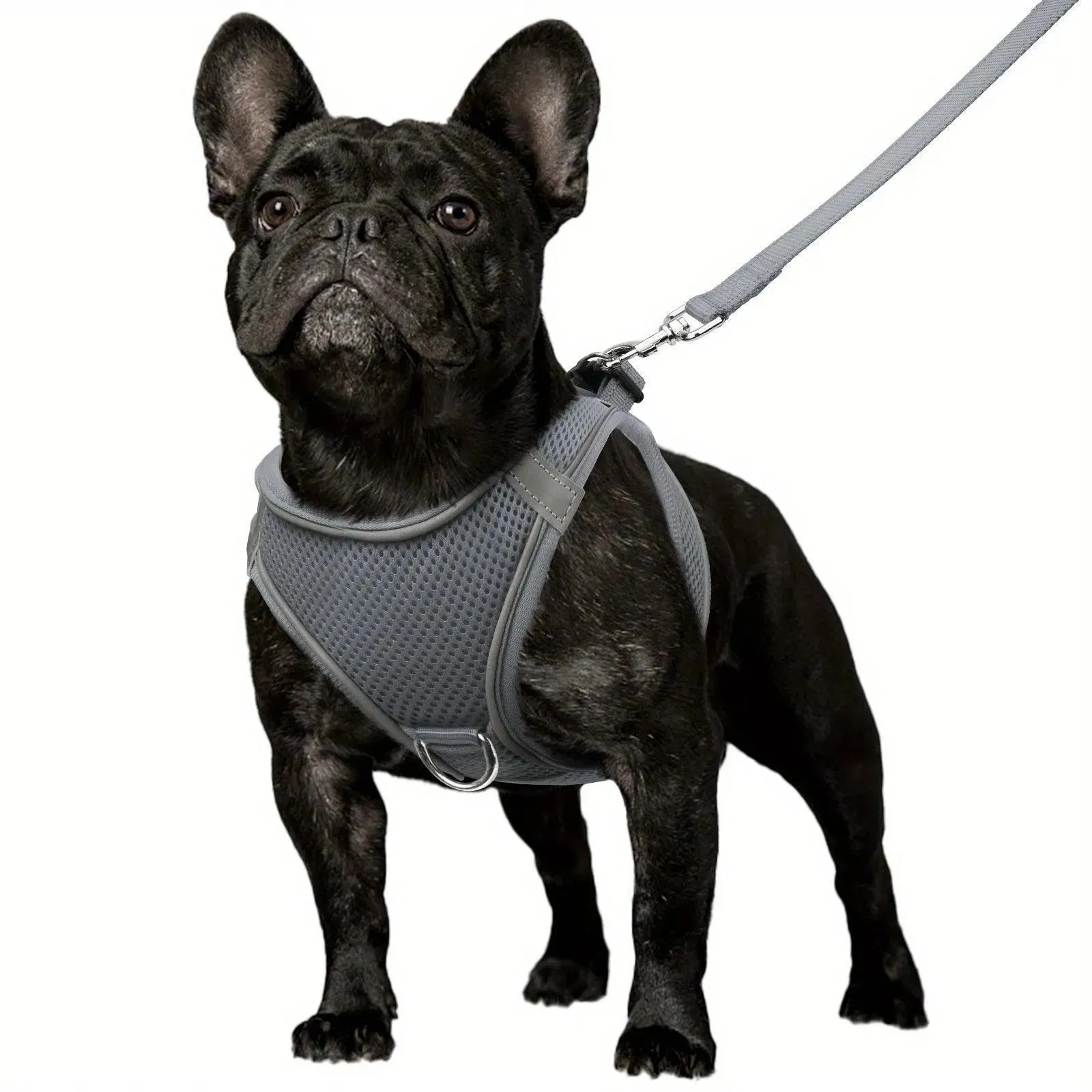Joytale Reflective Dog Harness & Leash Set