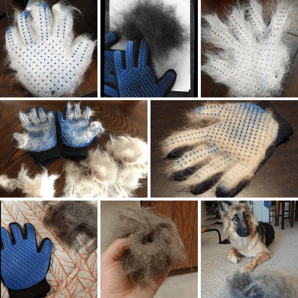 Kiki N Pooch True Touch Grooming Gloves for Dogs and Cats (Blue)