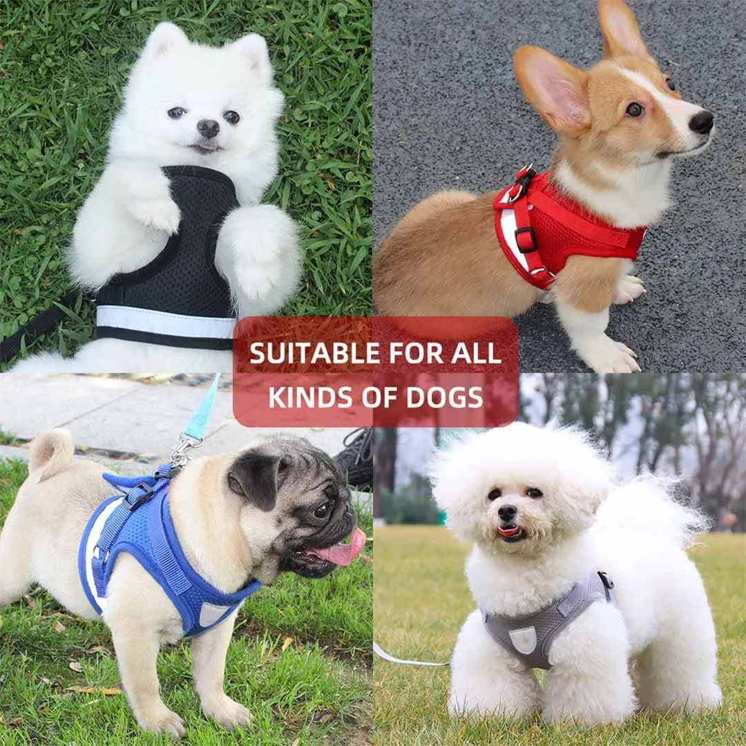 Kuber Industries Reflective Dog Harness with Adjustable Leash|Breathable Polyester Mesh Fabric |Medium Size|HT-844|Comfortable No-Pull Grip|Quick Release Buckles|Easy On-Off Harness|Black (Pack of 3)
