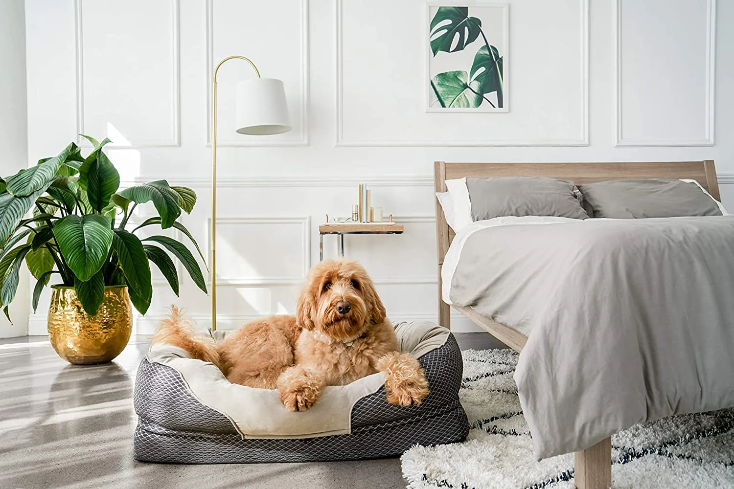 Large Snuggly Sleeper Orthopedic Dog Bed