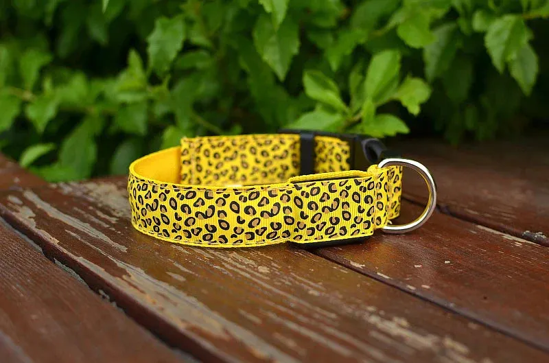 LED Nylon Dog Collar - Night Safety with Flashing Lights