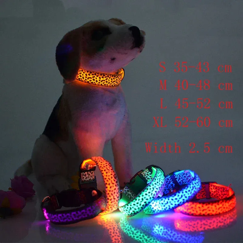 LED Nylon Dog Collar - Night Safety with Flashing Lights