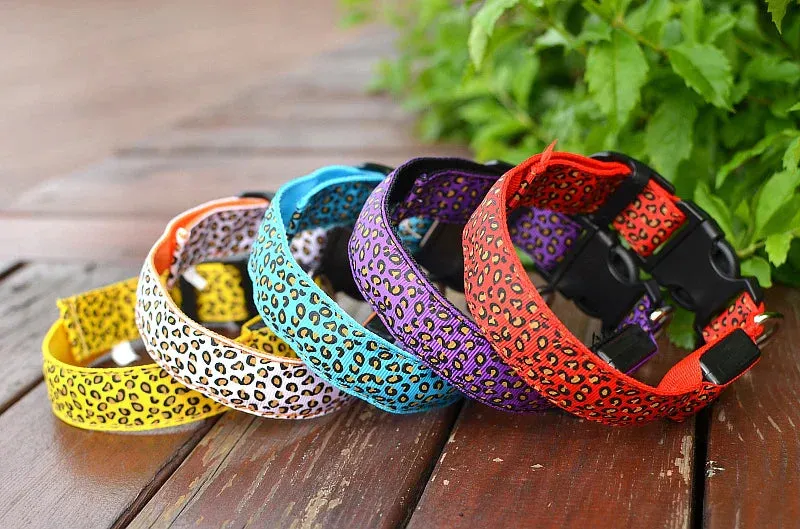 LED Nylon Dog Collar - Night Safety with Flashing Lights