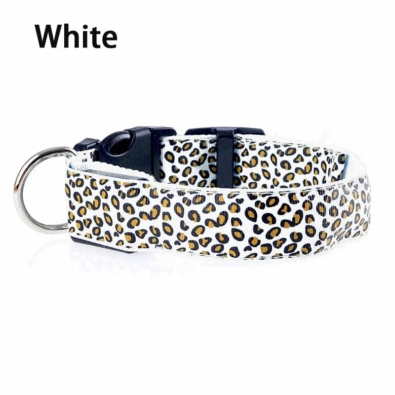 LED Nylon Dog Collar - Night Safety with Flashing Lights