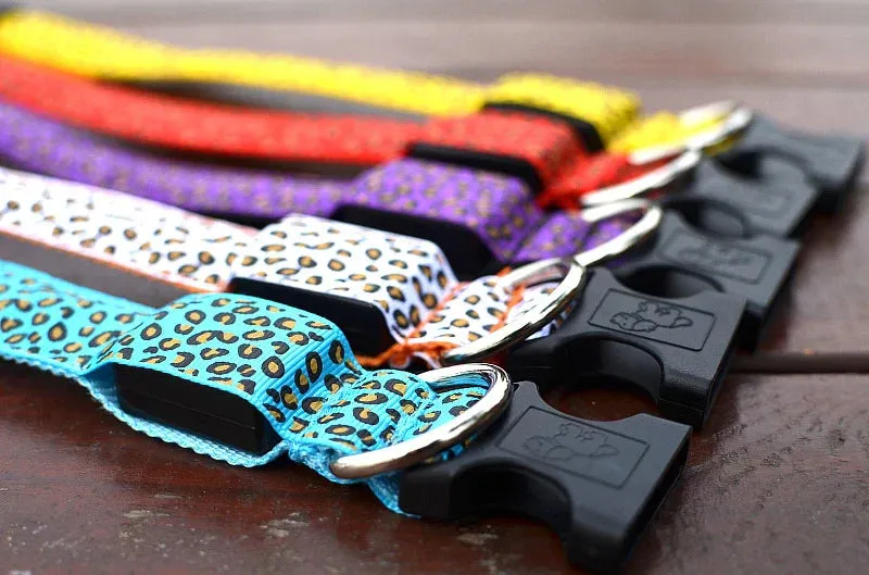 LED Nylon Dog Collar - Night Safety with Flashing Lights