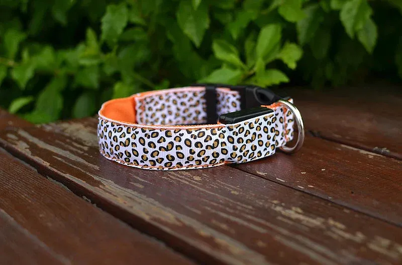 LED Nylon Dog Collar - Night Safety with Flashing Lights
