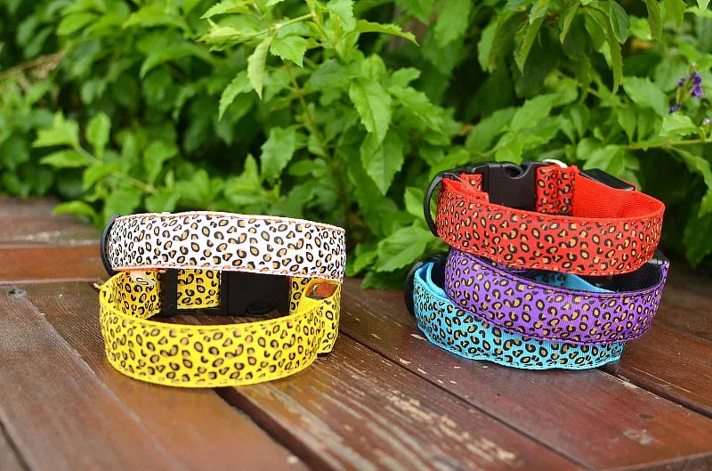 LED Nylon Dog Collar - Night Safety with Flashing Lights