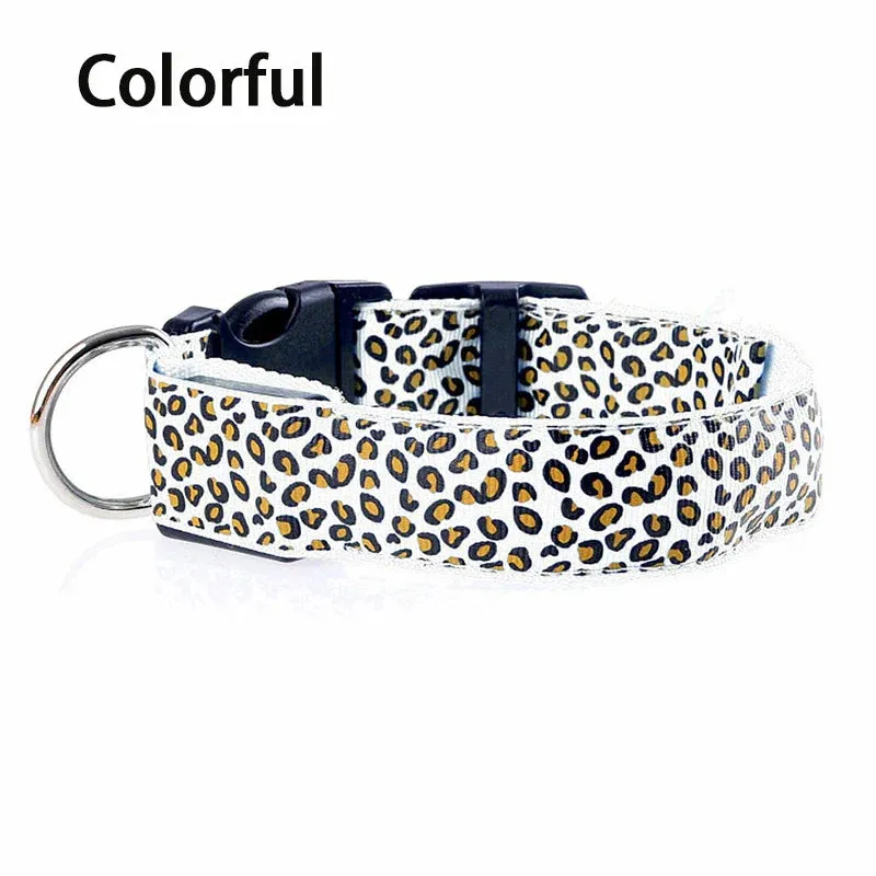 LED Nylon Dog Collar - Night Safety with Flashing Lights