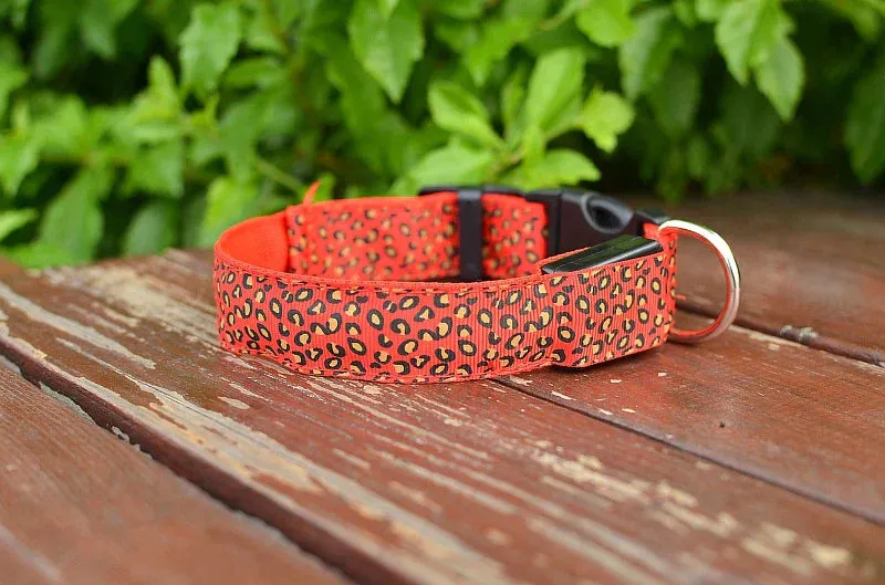LED Nylon Dog Collar - Night Safety with Flashing Lights