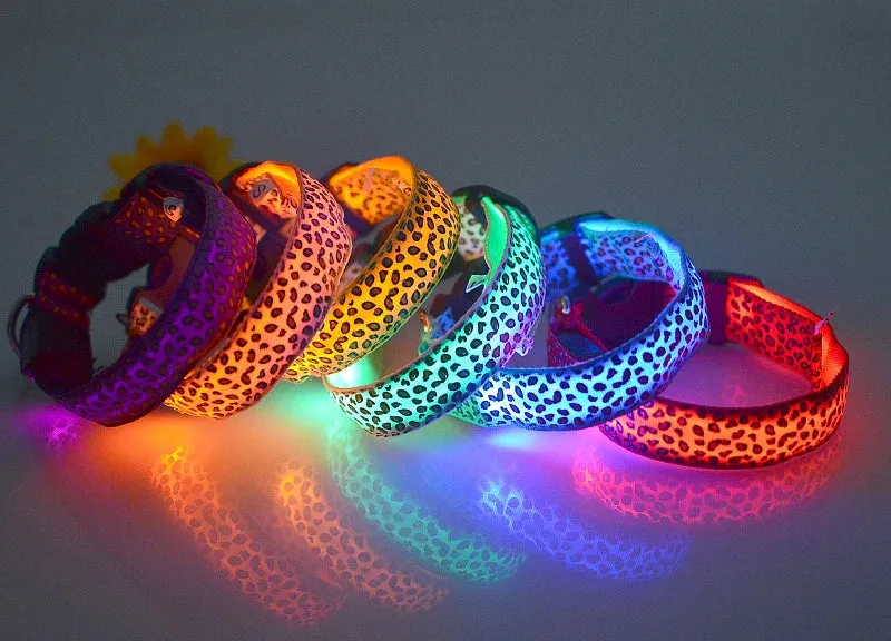 LED Nylon Dog Collar - Night Safety with Flashing Lights