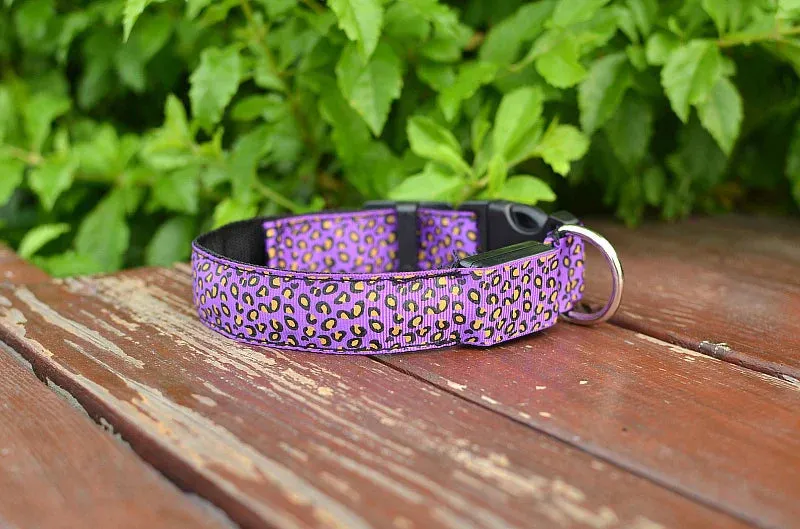 LED Nylon Dog Collar - Night Safety with Flashing Lights