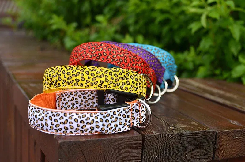 LED Nylon Dog Collar - Night Safety with Flashing Lights