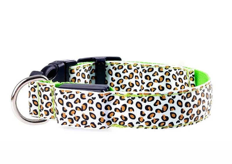 LED Nylon Dog Collar - Night Safety with Flashing Lights