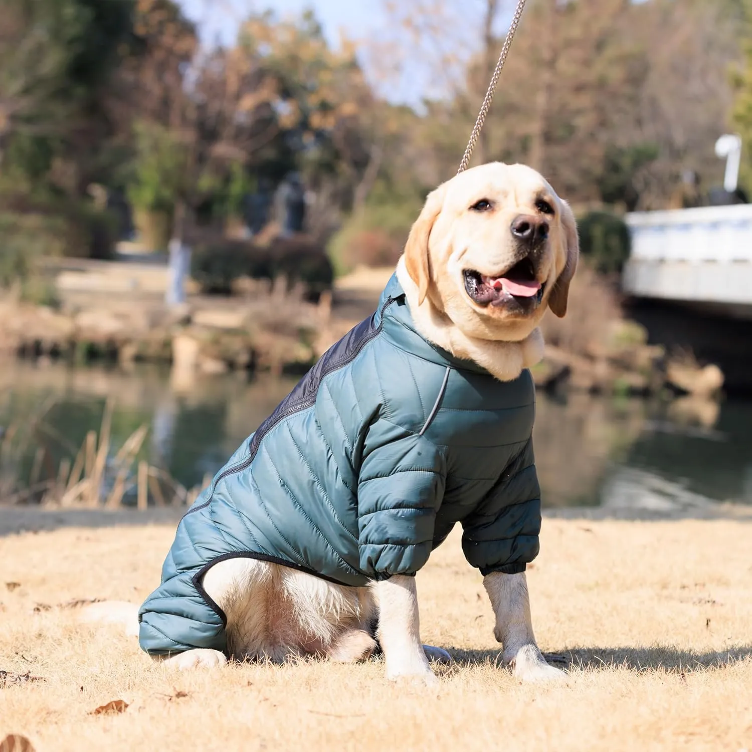Lovelonglong Dog Coat Dog Warm Jacket, 4 Legs Covered Waterproof Windproof Reflective Warm Dog Vest, Zippered Adjustable Outdoor Dog Snow Jacket for Small Medium Large Dogs ArmyGreen XXXL