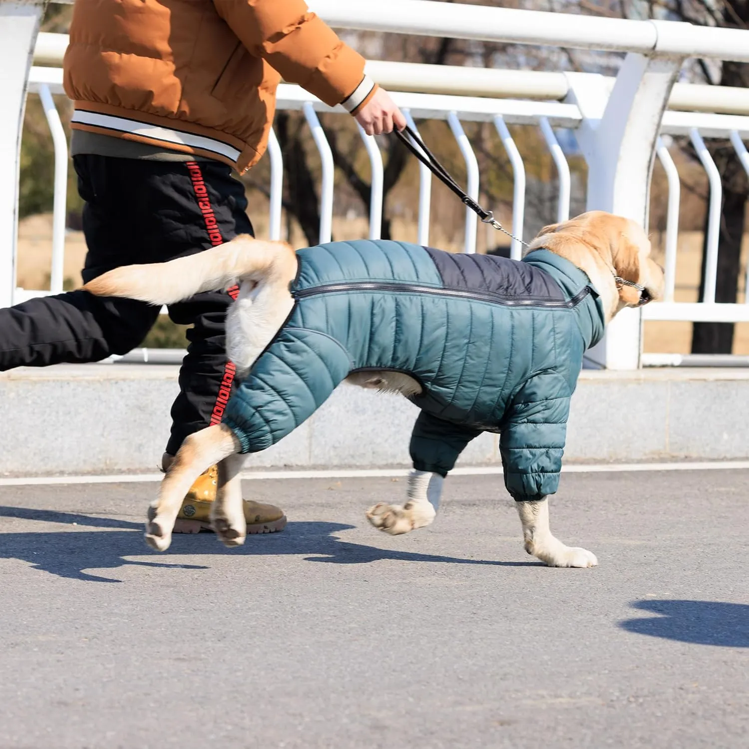 Lovelonglong Dog Coat Dog Warm Jacket, 4 Legs Covered Waterproof Windproof Reflective Warm Dog Vest, Zippered Adjustable Outdoor Dog Snow Jacket for Small Medium Large Dogs ArmyGreen XXXL