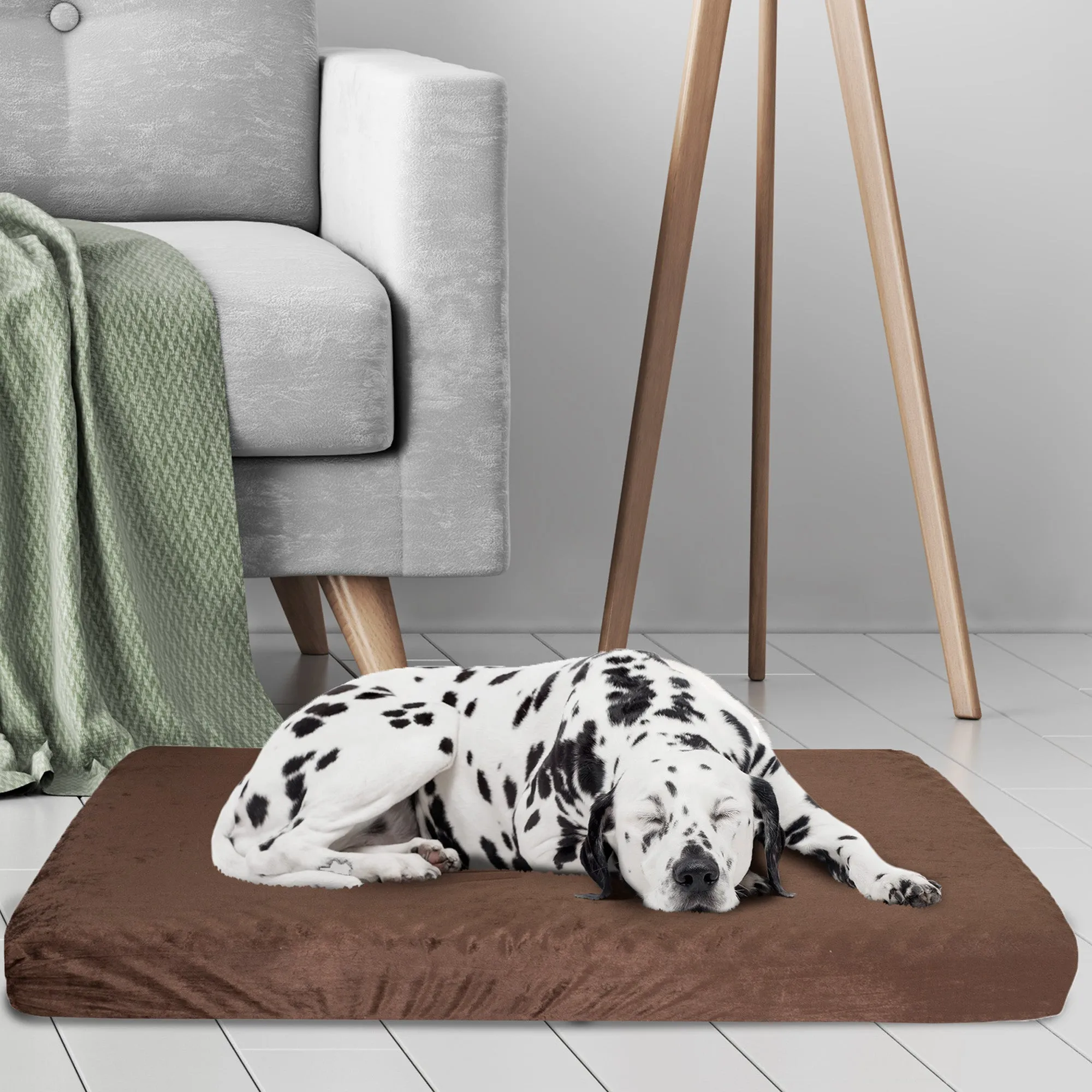 Memory Foam Dog Bed
