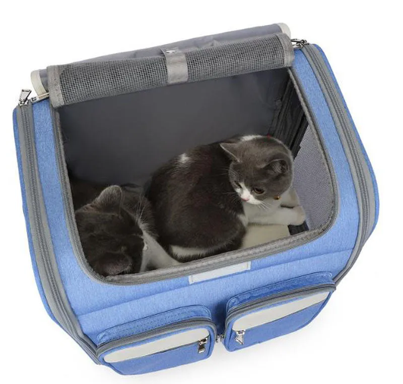 New pet trolley case going out portable cat backpack shoulders large-capacity breathable foldable portable cat bag