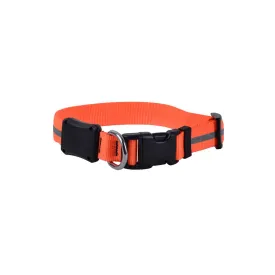 Nite Dawg LED Light-Up Dog Collar - Orange