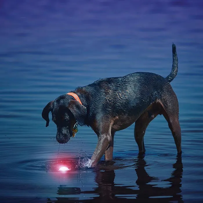 Nite Ize GlowStreak LED Ball