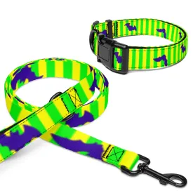 Not so scary Pet collar & leash