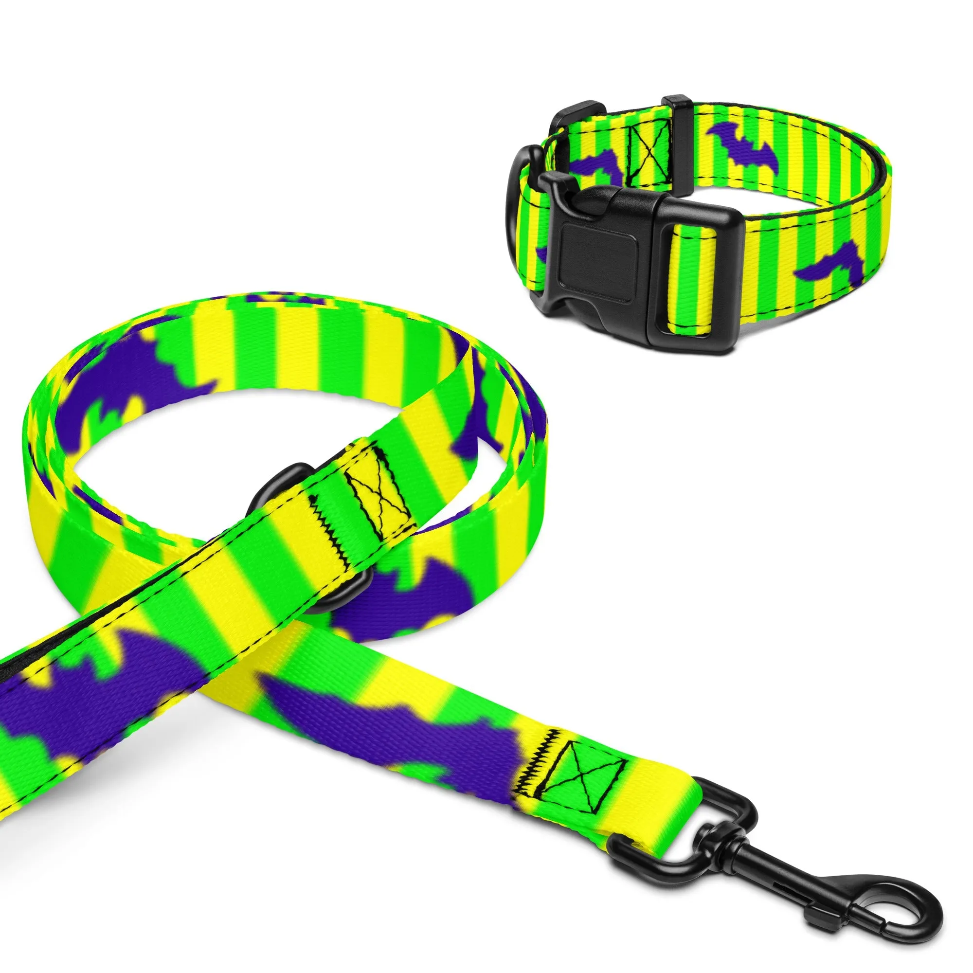 Not so scary Pet collar & leash