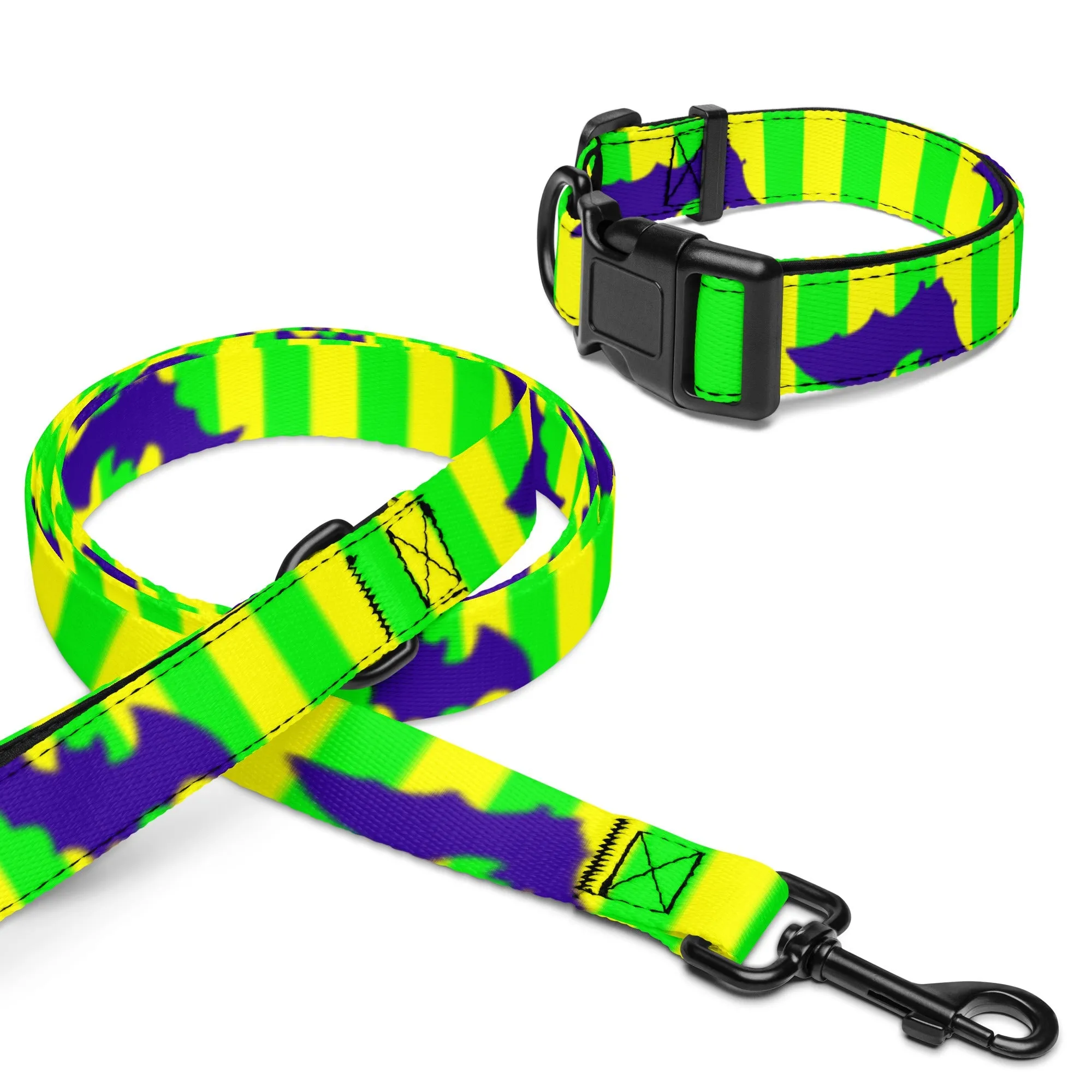 Not so scary Pet collar & leash