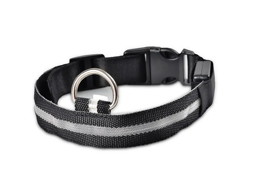 Nylon LED Pet Collar or Pendant