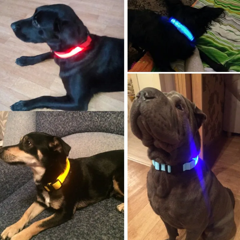 Nylon LED Pet Collar or Pendant