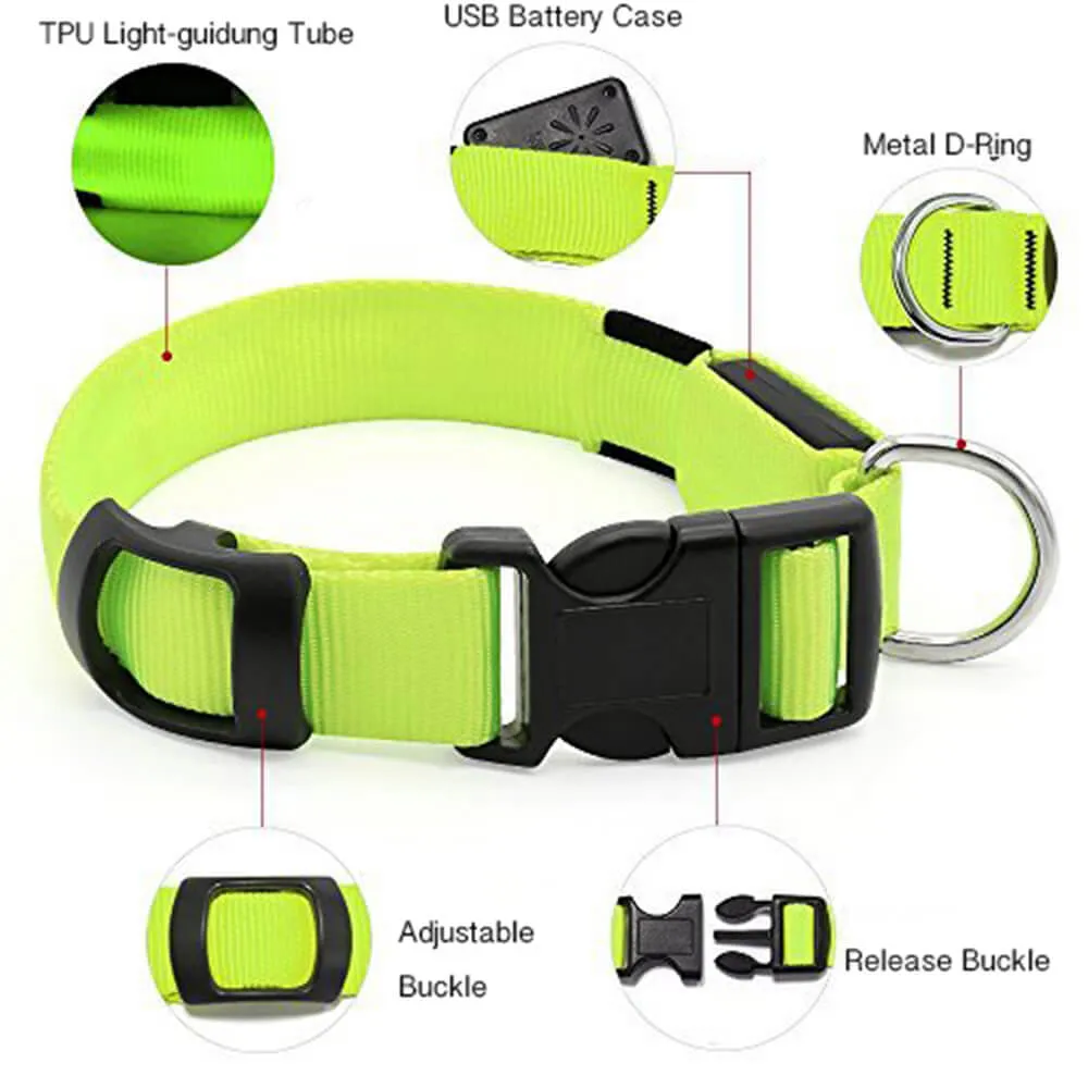 Nylon Webbing Rechargeable LED Dog Collar
