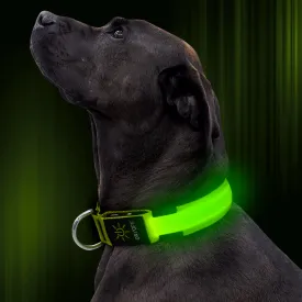 Nylon Webbing Rechargeable LED Dog Collar