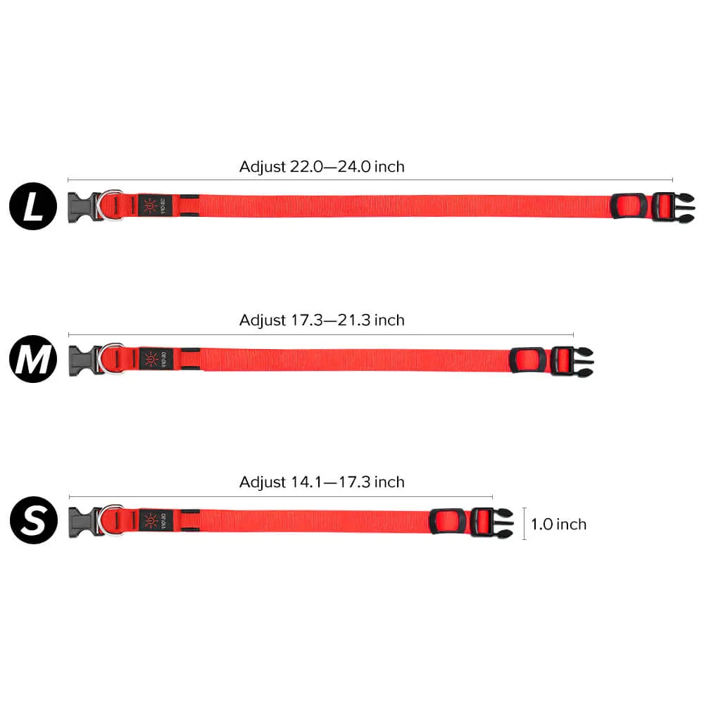Nylon Webbing Rechargeable LED Dog Collar