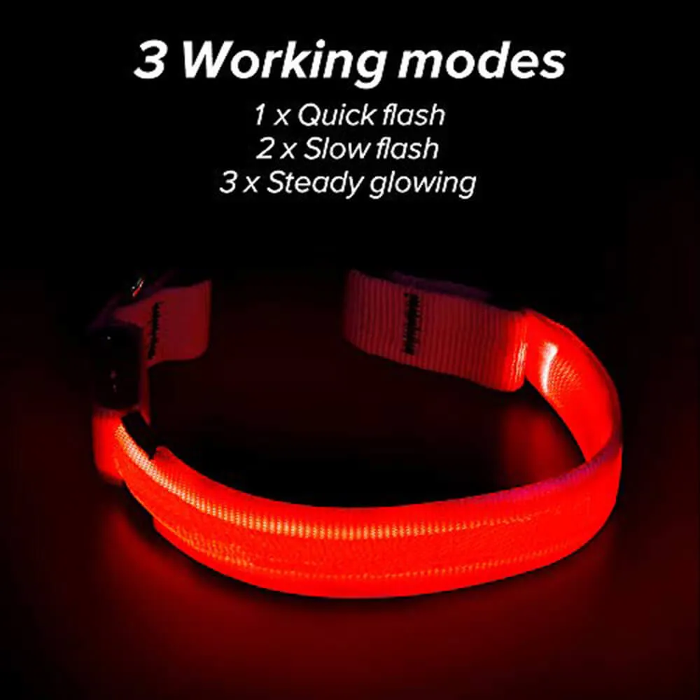 Nylon Webbing Rechargeable LED Dog Collar