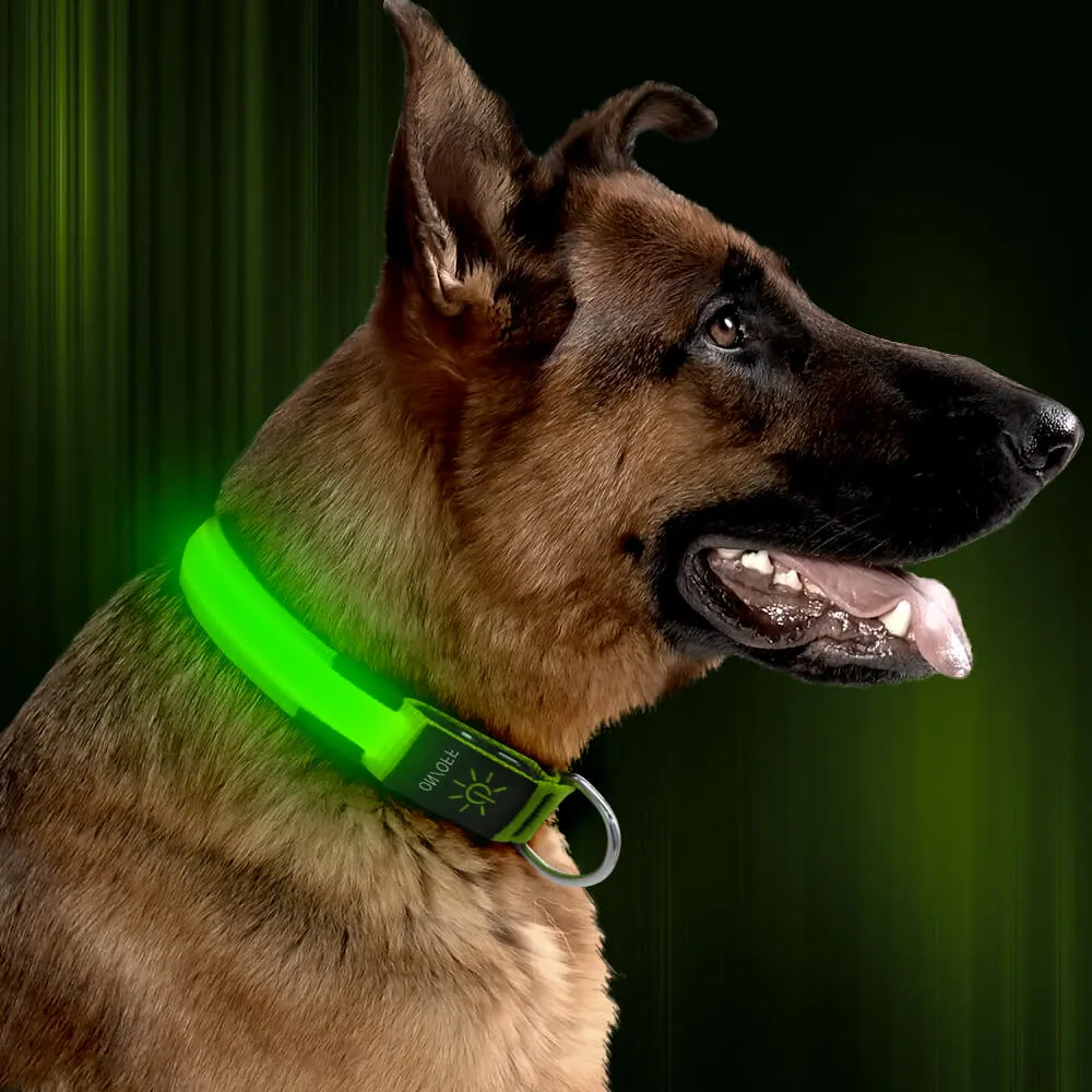 Nylon Webbing Rechargeable LED Dog Collar