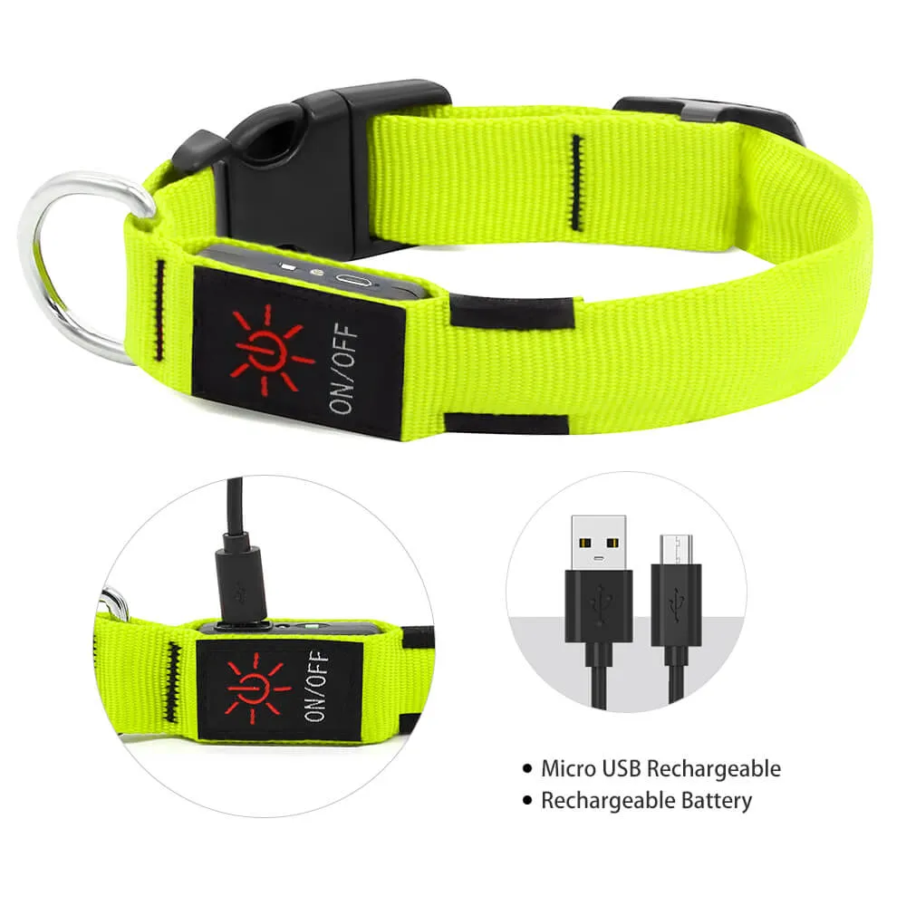 Nylon Webbing Rechargeable LED Dog Collar