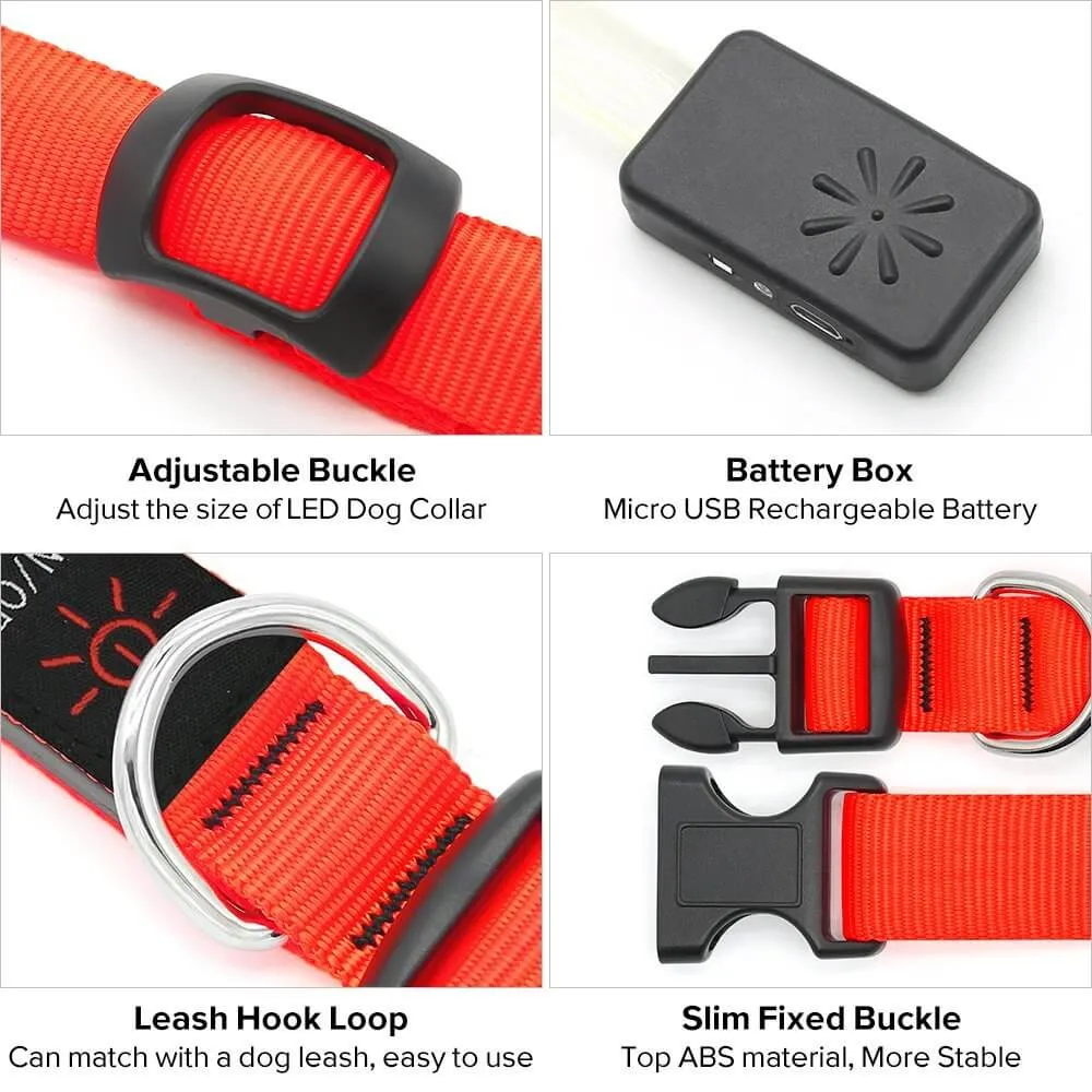Nylon Webbing Rechargeable LED Dog Collar
