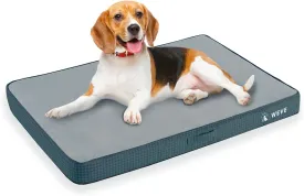 Orthopedic Dog Bed for Large Dogs, 3.5-inch Thick Gel Memory Foam Support with Durable Flannel Fabric Dog Beds, Removable Cover & Waterproof Liner with Non-Slip Bottom Pet Bed, 41*29*3.5 inch