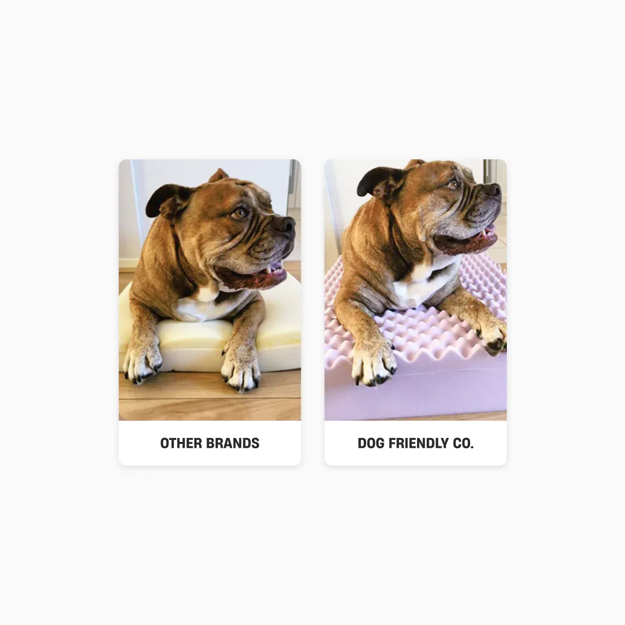 Orthopedic Memory Foam Dog Bed - Pink (Small)